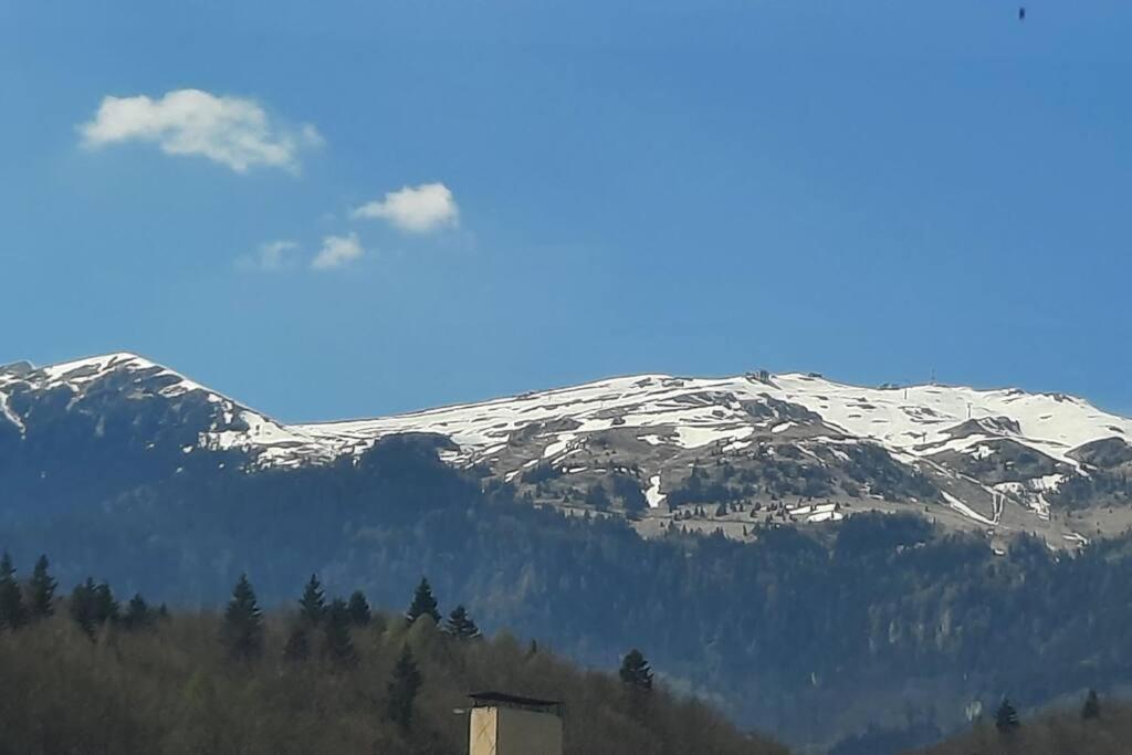 Apartament Erika Premium Sinaia Exteriör bild